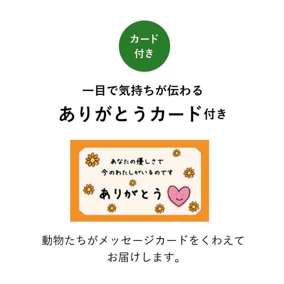 ありがとうのプチギフト友達プチギフト記念品女友達結婚式結婚異動会社退職お礼感謝小学生子供ホワイトデーお返し卒業式おもしろ雑貨うさぎくまねこマグネット動物アニマル個包装