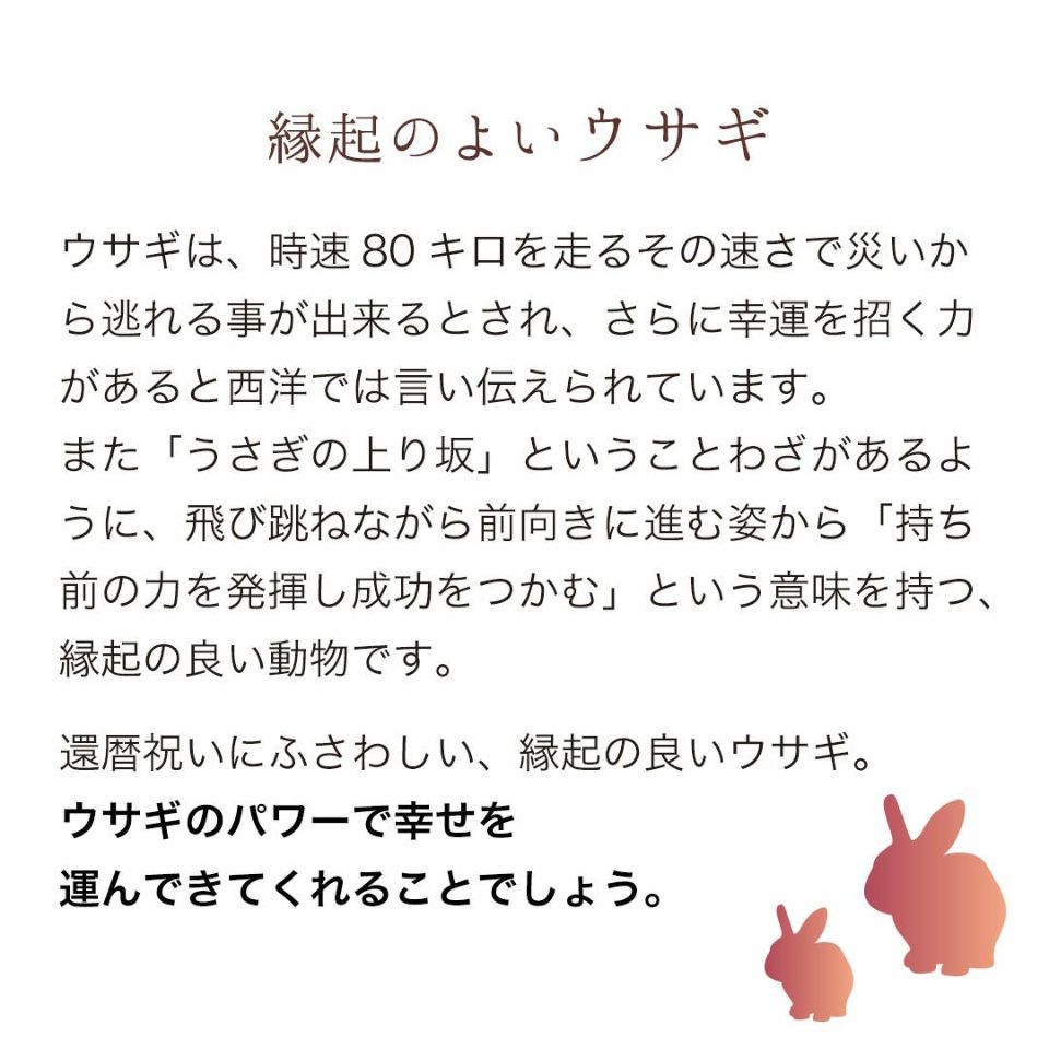 還暦に贈る、干支のバニー-ケース入り-【別オプション還暦の日刺繍可】還暦祝い還暦お祝い祝いちゃんちゃんこ座布団赤バニーラビットうさぎぬいぐるみプレゼント贈り物ギフト女性男性母父おしゃれグッズ退職祝い母の日父の日敬老の日5042