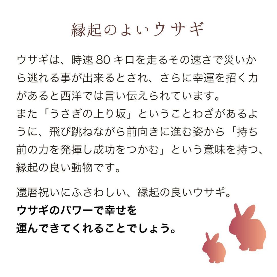 還暦に贈る、干支のバニー【別オプション還暦の日刺繍可】還暦祝い還暦お祝い祝いちゃんちゃんこ座布団赤バニーラビットうさぎぬいぐるみプレゼント贈り物ギフト女性男性母父おしゃれグッズ退職祝い母の日父の日敬老の日5041