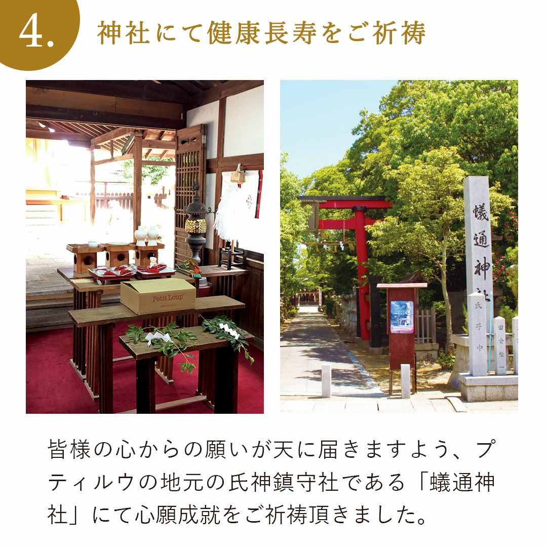 還暦に贈るテディべアプレミアム【名前/日付/メッセージ入れ】還暦祝いテディべア還暦かんれきプレゼント贈り物ギフト女性男性母父ちゃんちゃんこ退職祝いぬいぐるみ名入り名前入り記念品【送料無料】【smtb】