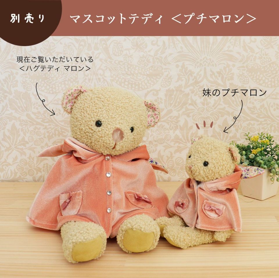 経典 名入れ可 テディベア ぬいぐるみギフト 耳付きポンチョ着せ替え ぬいぐるみ