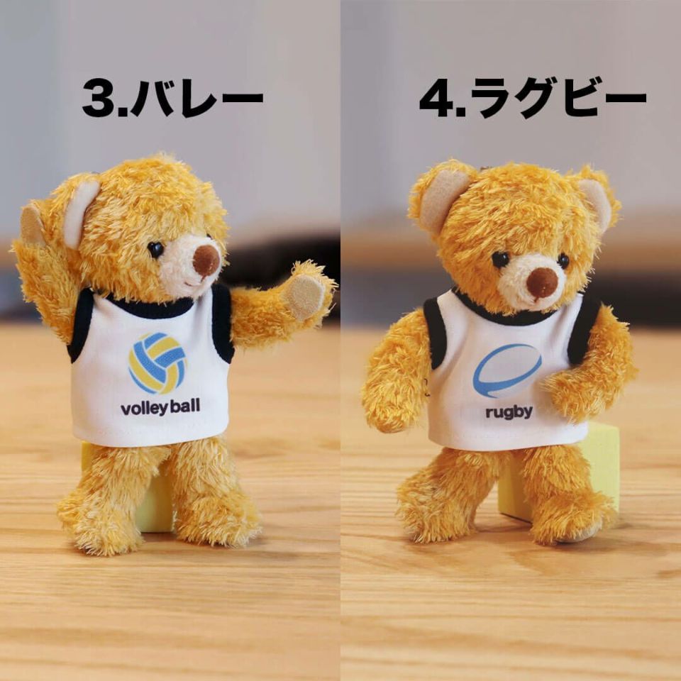 クラブベア
