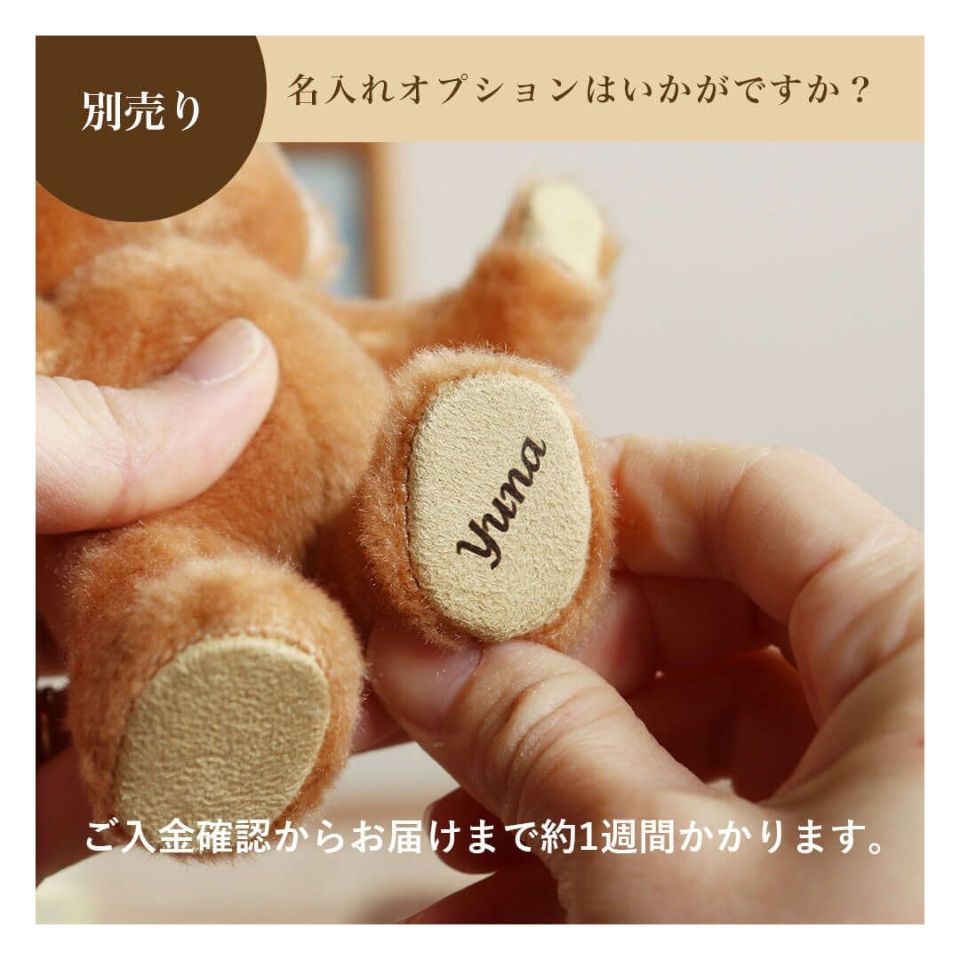 自立するテディベア ｜ぬい撮りや誕生日プレゼントにぴったり