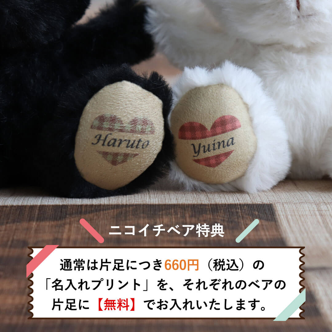 ニコイチテディベア(4S) | テディベアギフトのプティルウネット