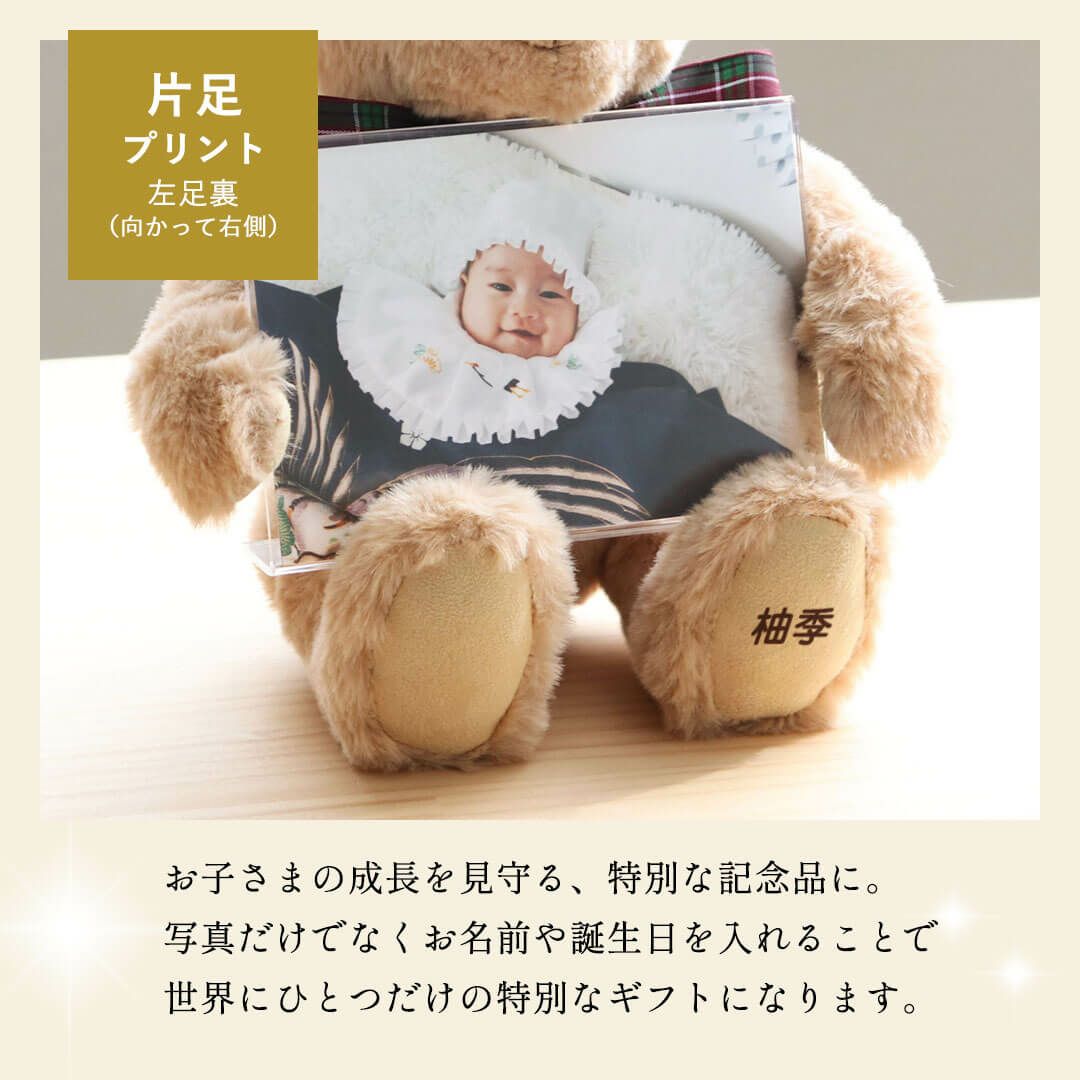 2月25日発売予定】フォトフレームベア(3S) | テディベアギフトの